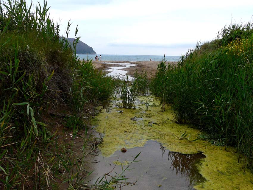 I fossi e lo stagno di Baratti (Piombino - LI)